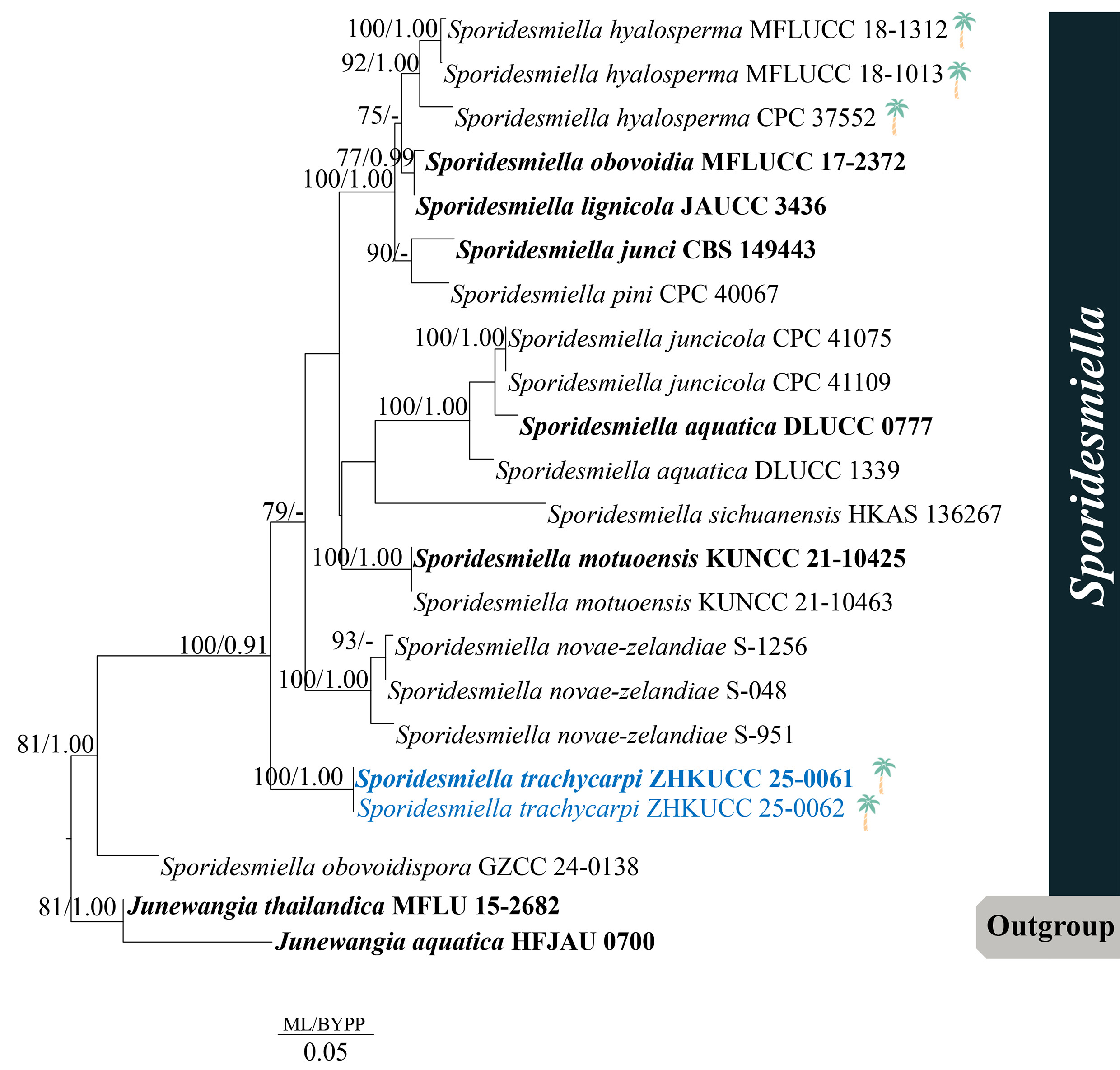 Figure 137